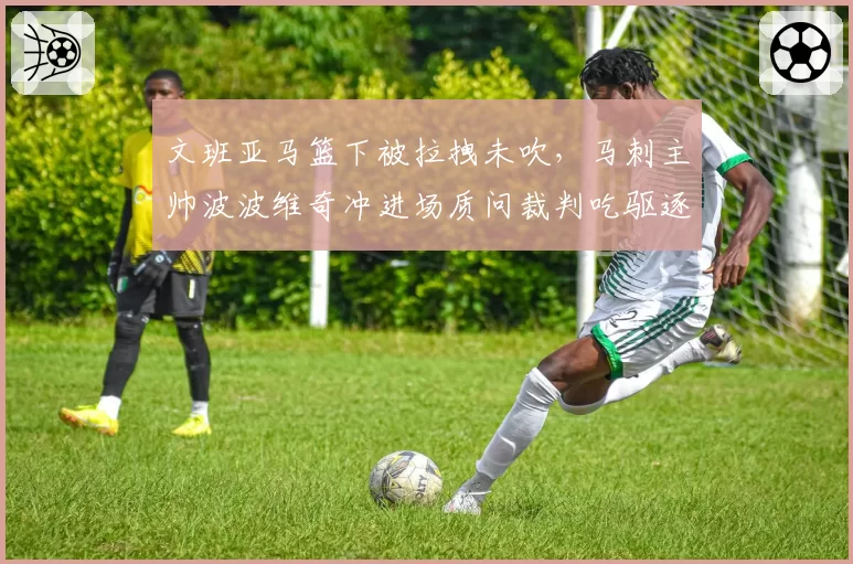 文班亚马篮下被拉拽未吹，马刺主帅波波维奇冲进场质问裁判吃驱逐