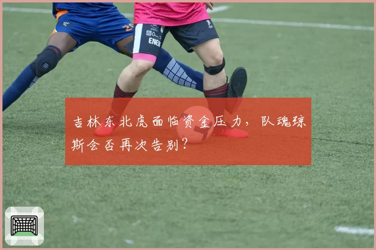 吉林东北虎面临资金压力，队魂琼斯会否再次告别？