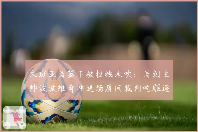文班亚马篮下被拉拽未吹，马刺主帅波波维奇冲进场质问裁判吃驱逐