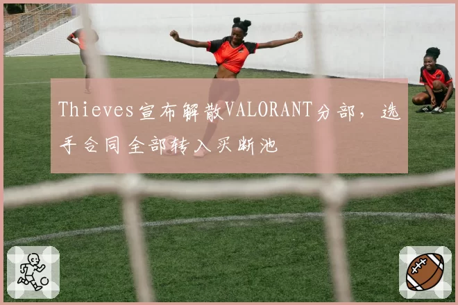 Thieves宣布解散VALORANT分部，选手合同全部转入买断池